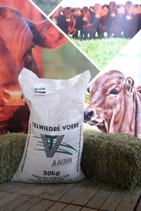 Dairy Calf Starter