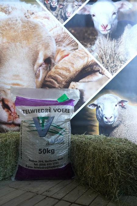Lamb Creeping/Crawling