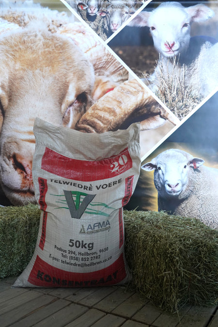 Sheep Feedlot HPC