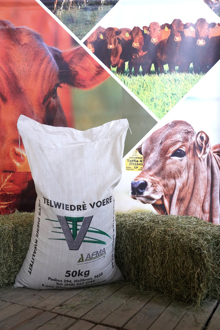Dairy 19 HE
